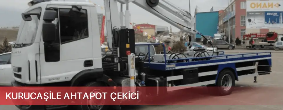 Kurucaşile İlçemi Ahtapot Çekici